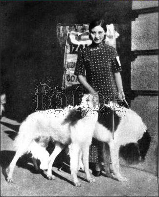 20111107-Wiki C Film Dog and beauty 1930s.jpg